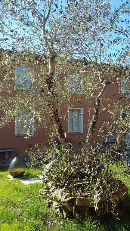 Villa Ulivo Della Querce Querce  Exterior foto